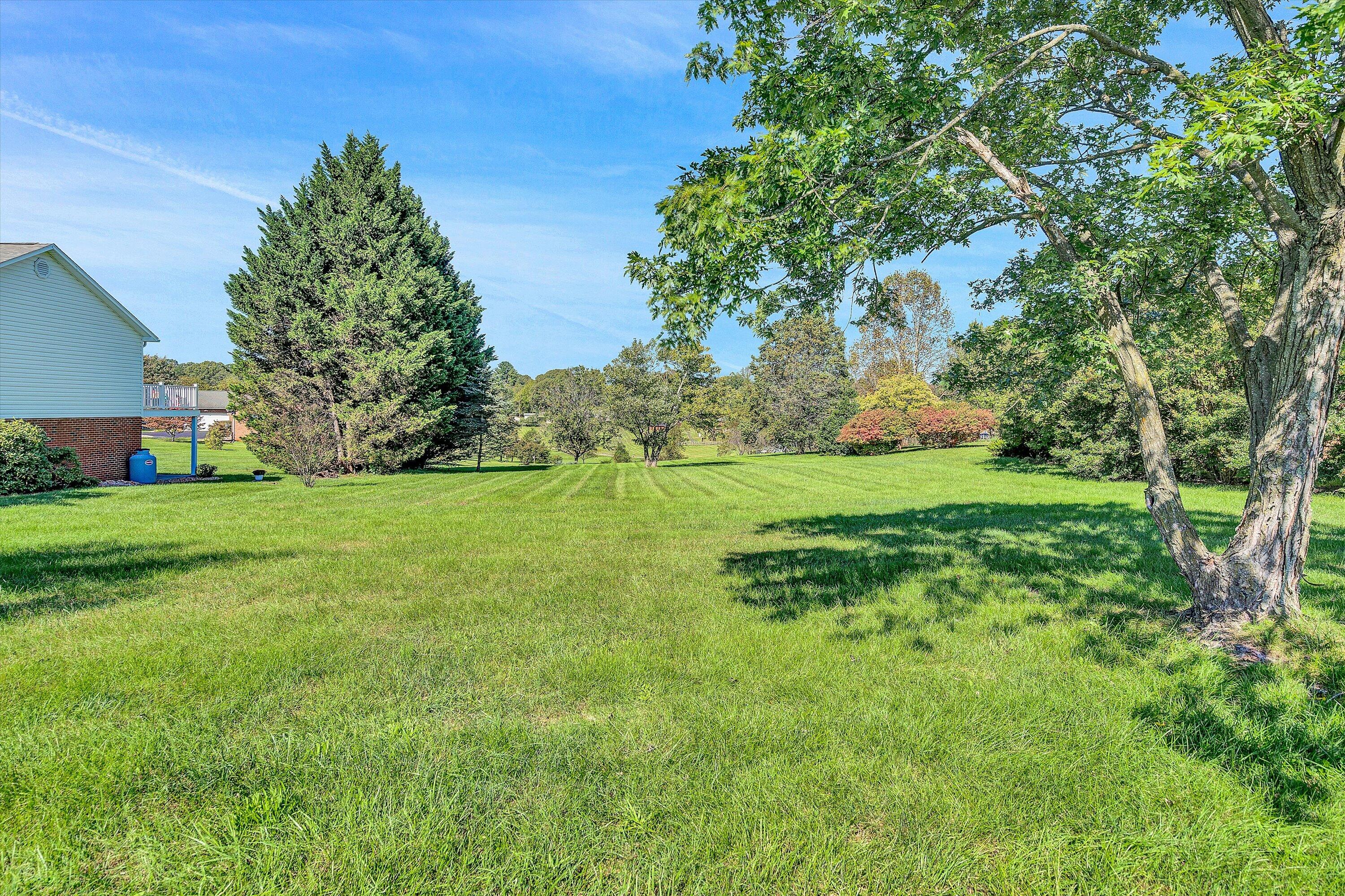 113 Aftons Meadow Road Vinton, VA 24179 - Photo 33 of 36 Over-Sized Side Yard