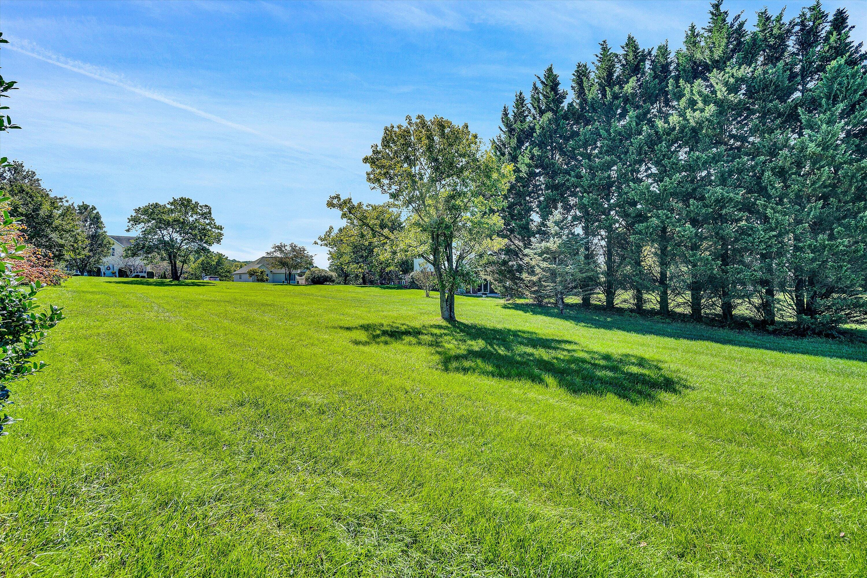 113 Aftons Meadow Road Vinton, VA 24179 - Photo 34 of 36 Side Yard