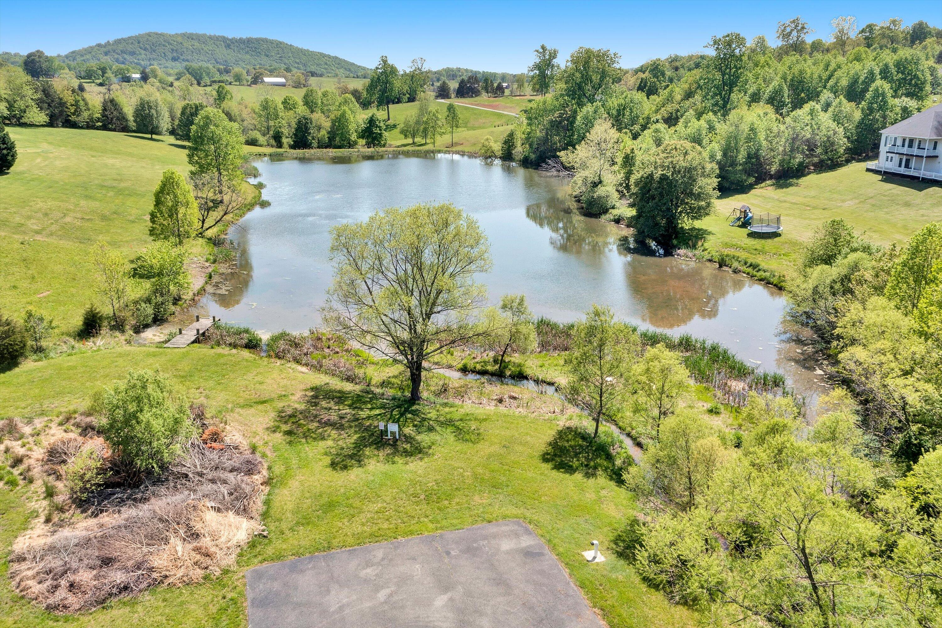 113 Aftons Meadow Road Vinton, VA 24179 - Photo 35 of 36 View of Afton's Meadow Pond