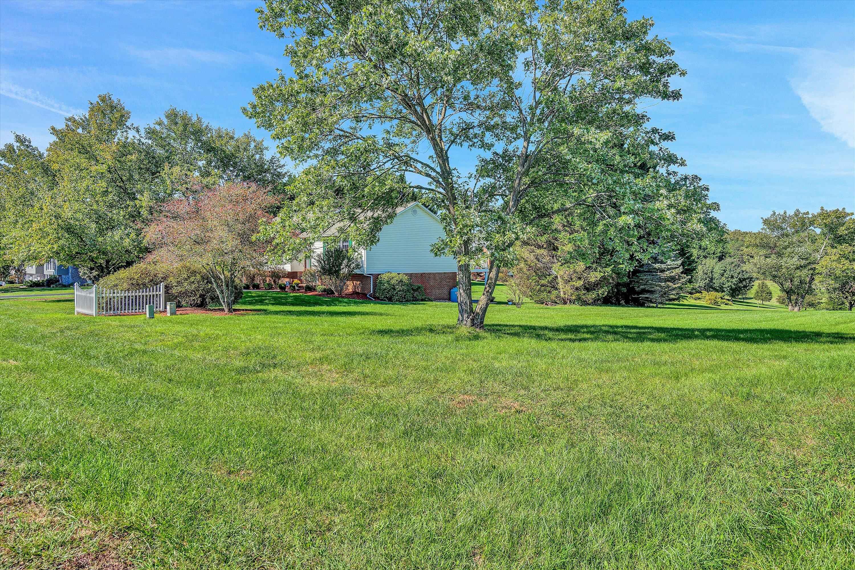 113 Aftons Meadow Road Vinton, VA 24179 - Photo 4 of 36 View of Massive Yard
