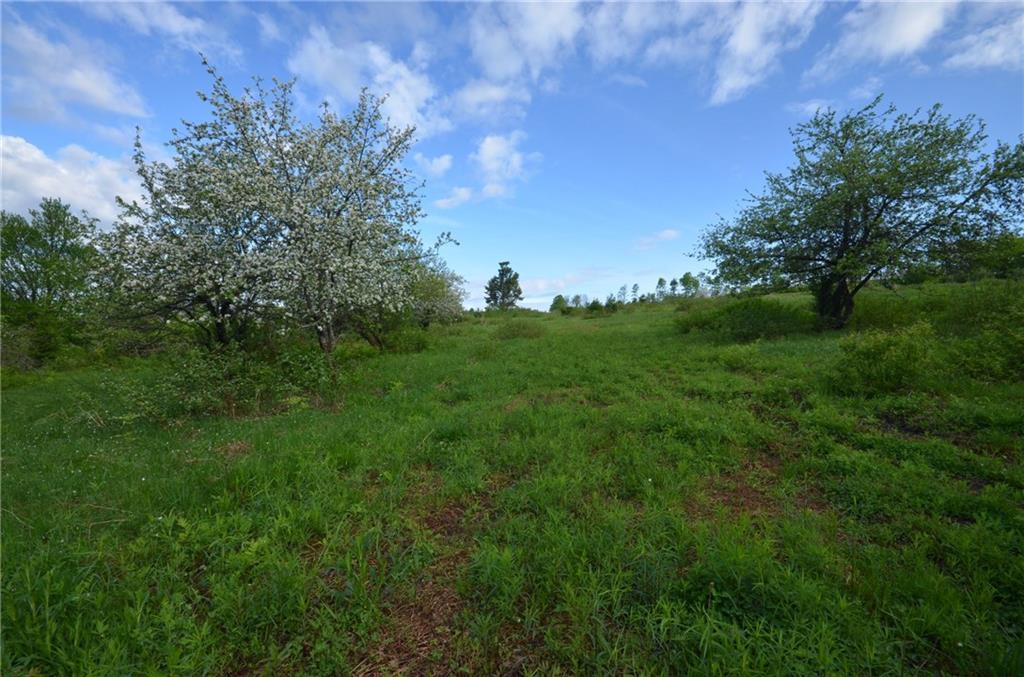 0 Graham Road Smyrna Mills, ME 04780 - Photo 1 of 14 Maine Land for Sale in Smyrna