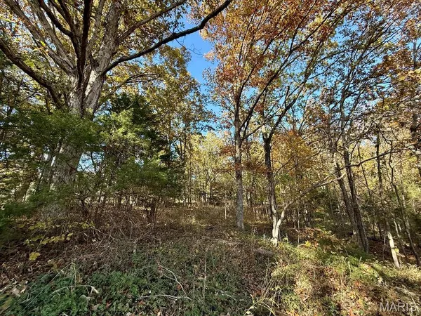 $84,900 | 0 Hwy 63 Houston Mo 65483, Houston, MO 65483