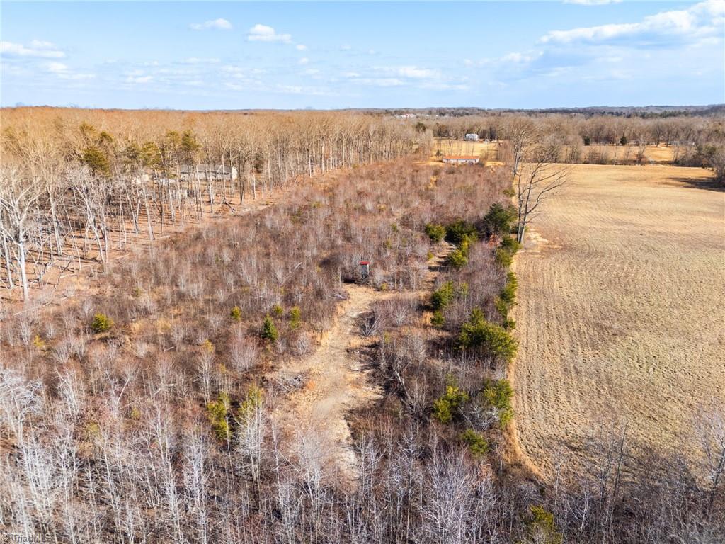 460 County Line Road Reidsville, NC 27320 - Photo 11 of 15 Gallery Image 11