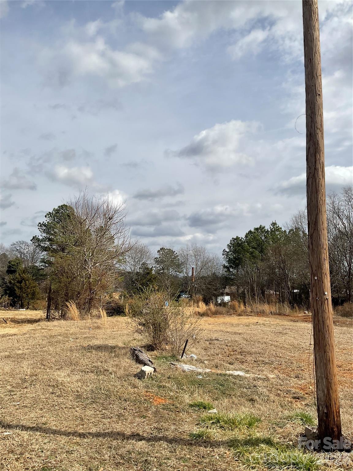 293 South Pea Ridge Road Mooresboro, NC 28114 - Photo 7 of 14