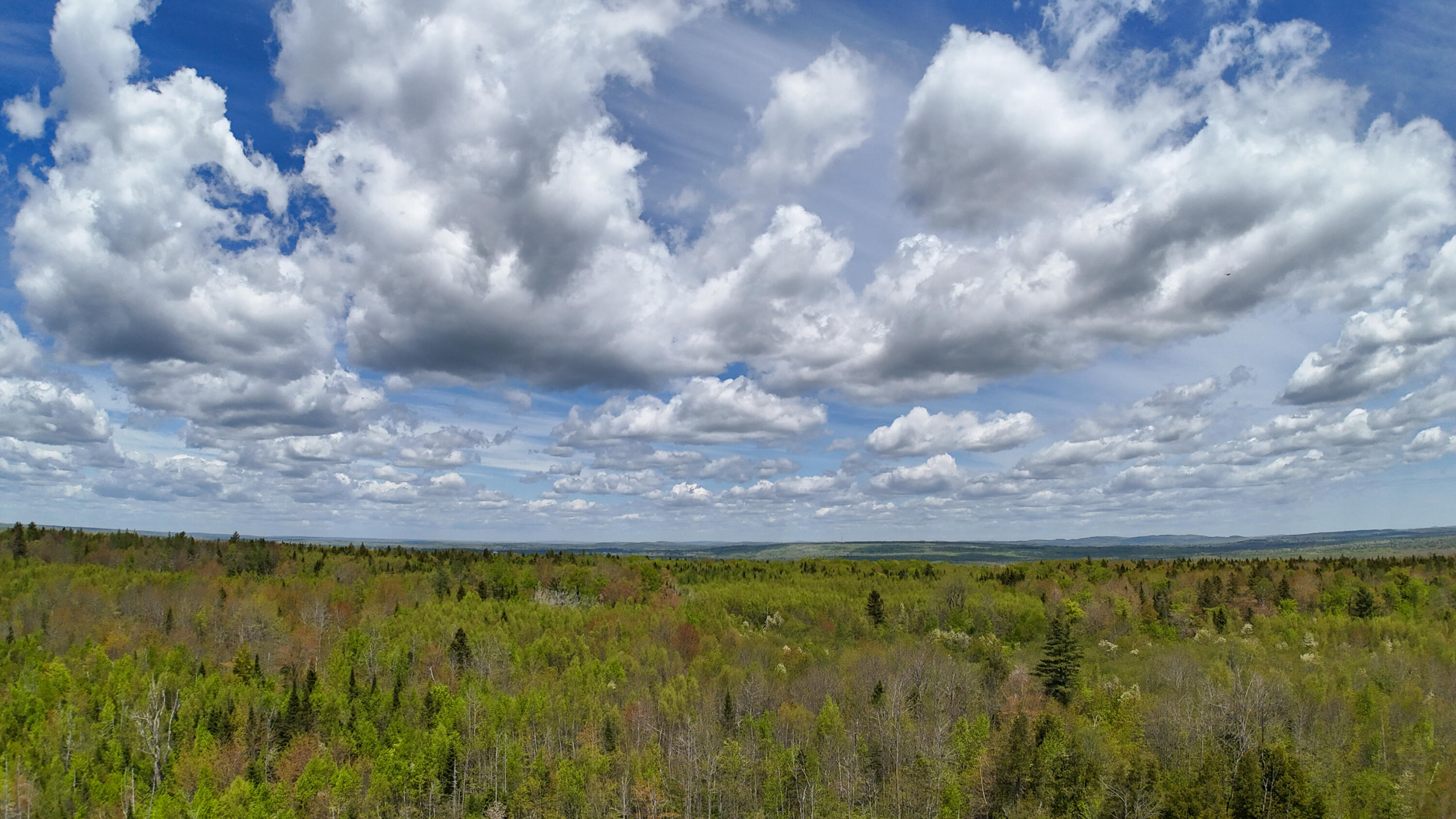 Lot 4 East Ridge Road Cooper, ME 04657 - Photo 10 of 20 RIDGE ROAD LOT 4-10