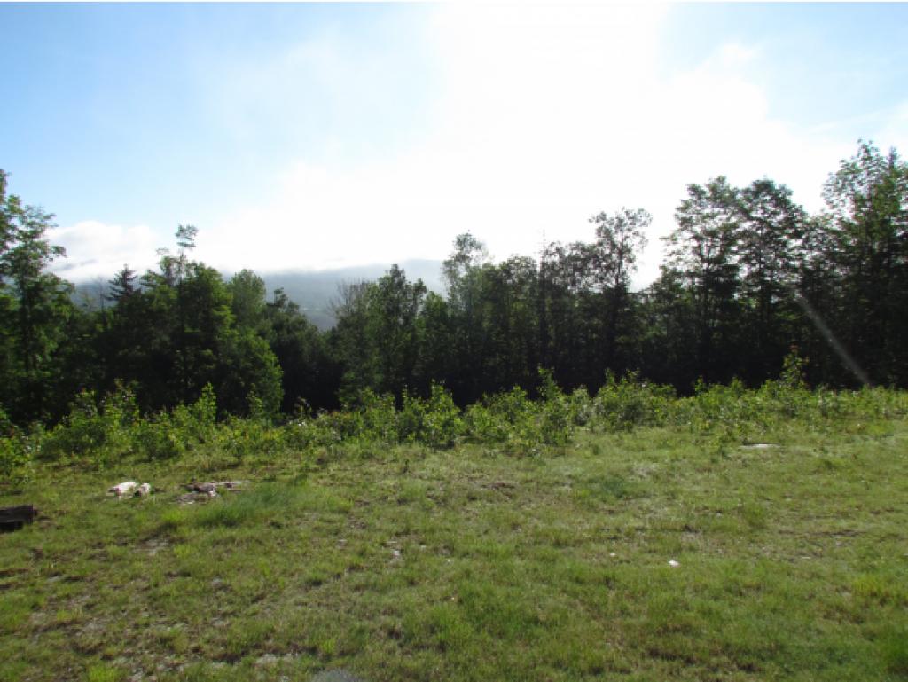 2276 Fuller Hill Road Warren, VT 05674 - Photo 12 of 22