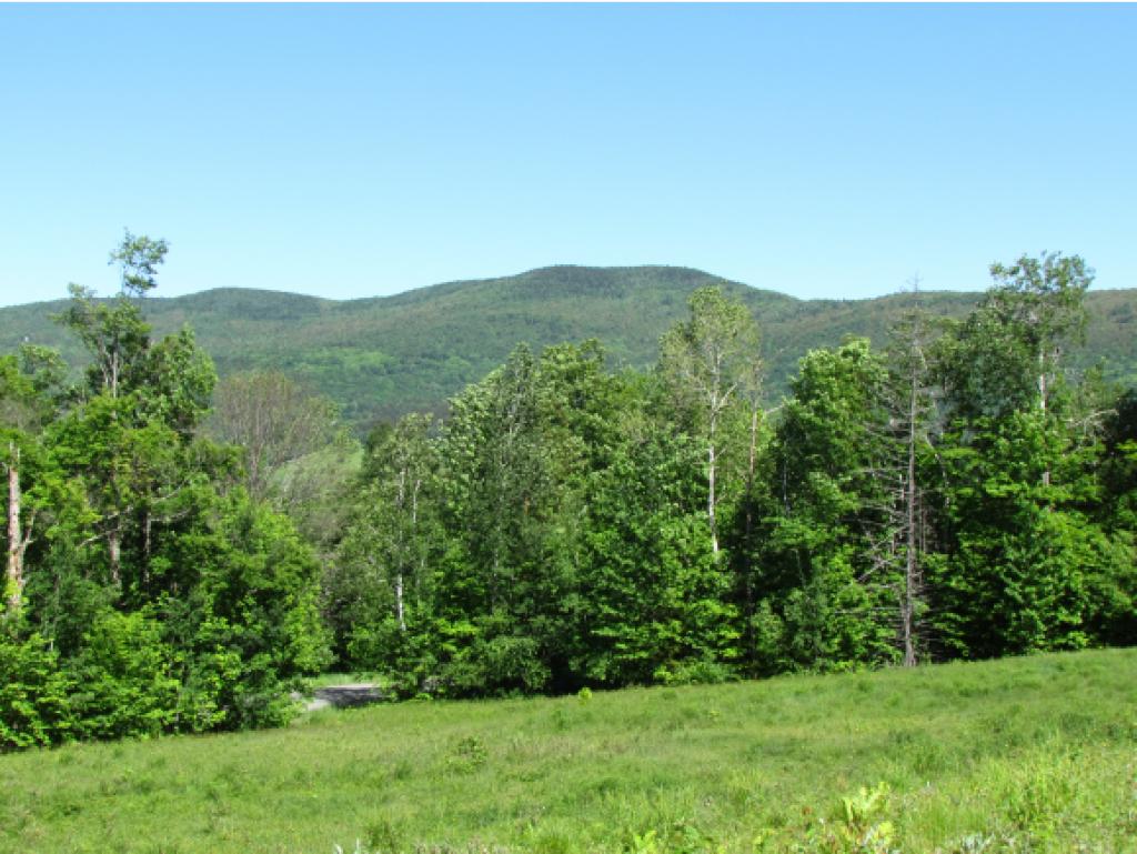 2276 Fuller Hill Road Warren, VT 05674 - Photo 13 of 22