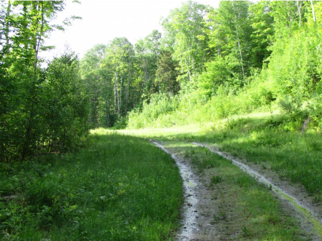 2276 Fuller Hill Road Warren, VT 05674 - Photo 14 of 22