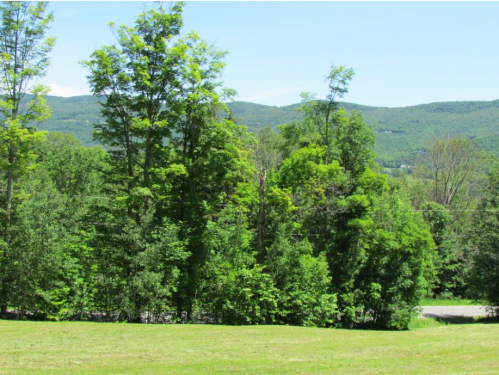 2276 Fuller Hill Road Warren, VT 05674 - Photo 15 of 22