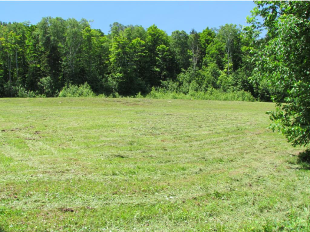 2276 Fuller Hill Road Warren, VT 05674 - Photo 16 of 22