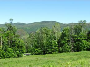 2276 Fuller Hill Road Warren, VT 05674 - Photo 19 of 22