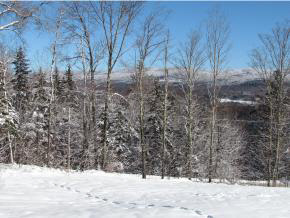 2276 Fuller Hill Road Warren, VT 05674 - Photo 21 of 22