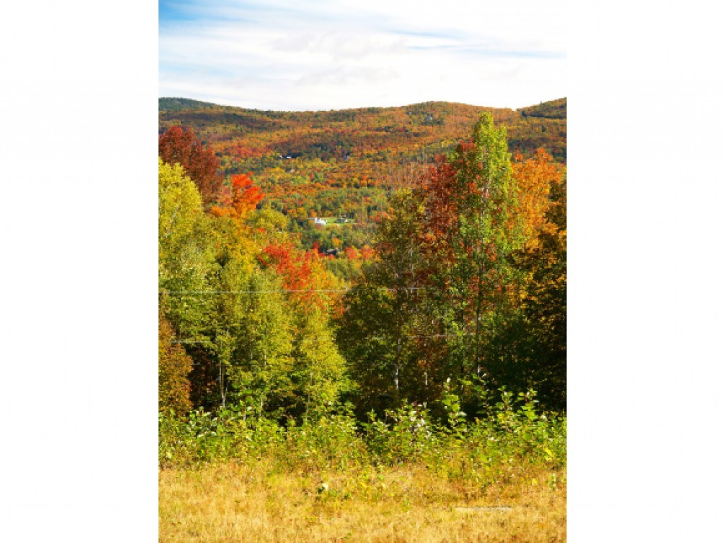 2276 Fuller Hill Road Warren, VT 05674 - Photo 5 of 22