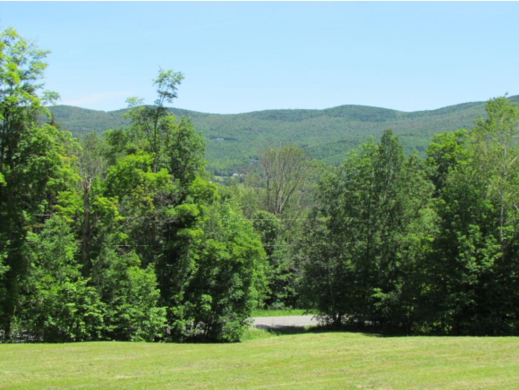 2276 Fuller Hill Road Warren, VT 05674 - Photo 6 of 22