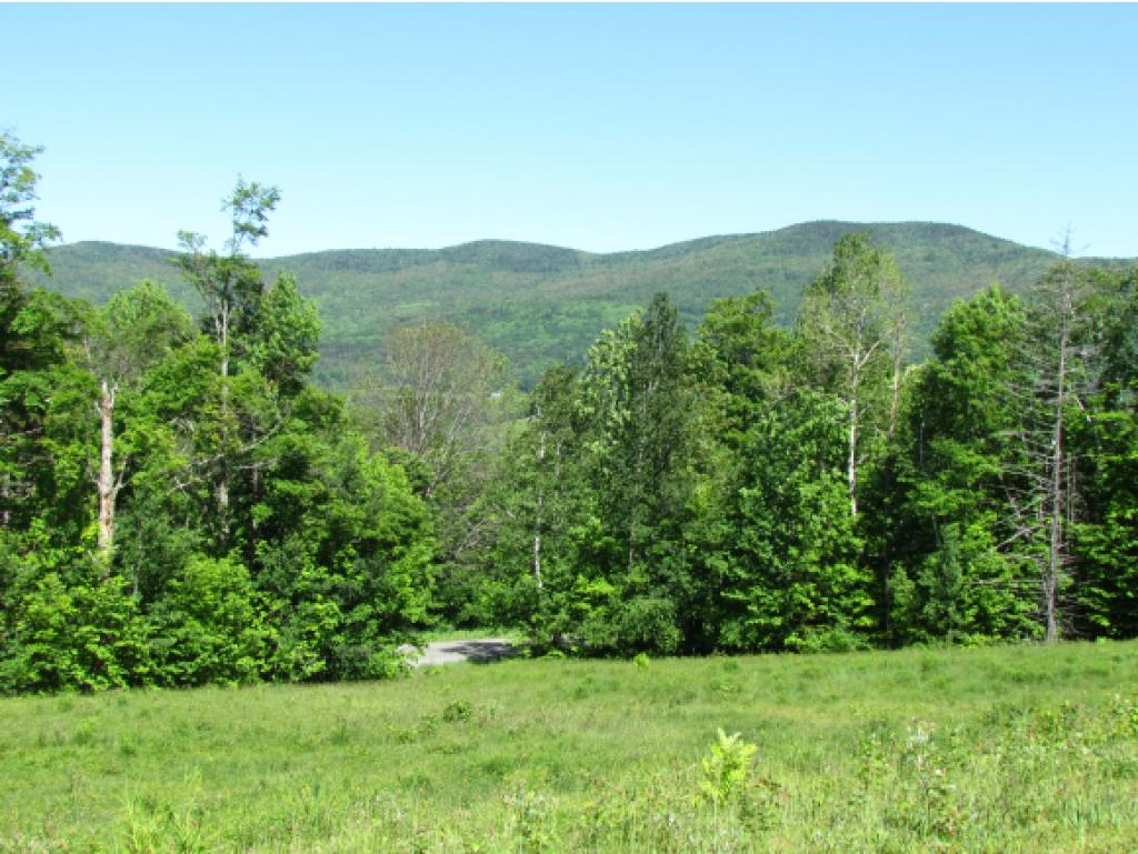 2276 Fuller Hill Road Warren, VT 05674 - Photo 7 of 22