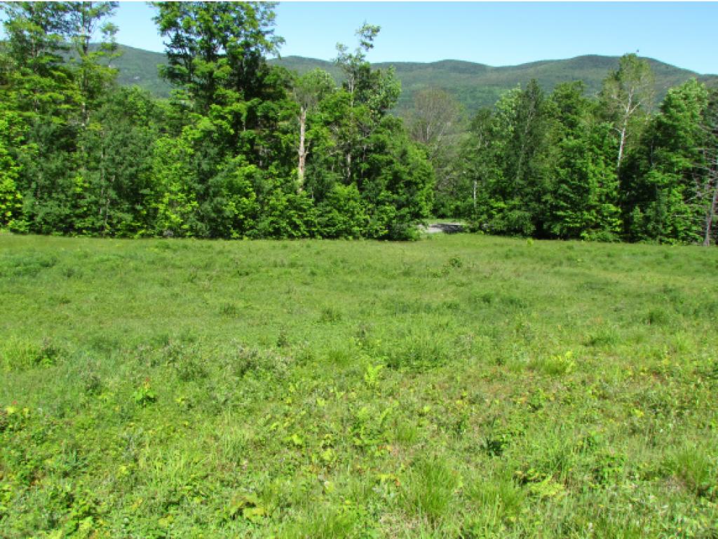 2276 Fuller Hill Road Warren, VT 05674 - Photo 8 of 22