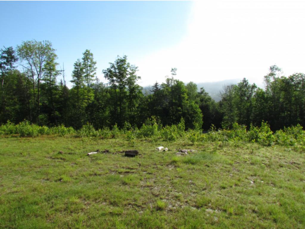 2276 Fuller Hill Road Warren, VT 05674 - Photo 9 of 22