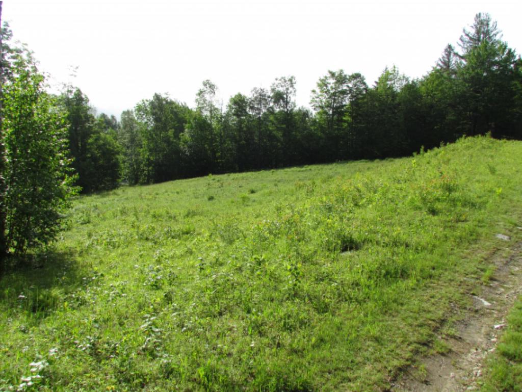 2276 Fuller Hill Road Warren, VT 05674 - Photo 10 of 22
