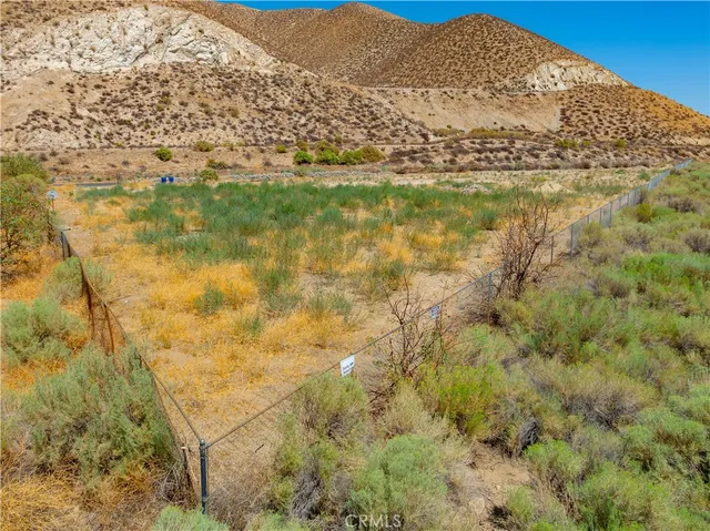 a view of a yard with a bench and trees around