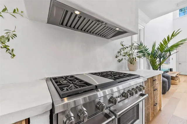 a kitchen with a stove and a potted plant