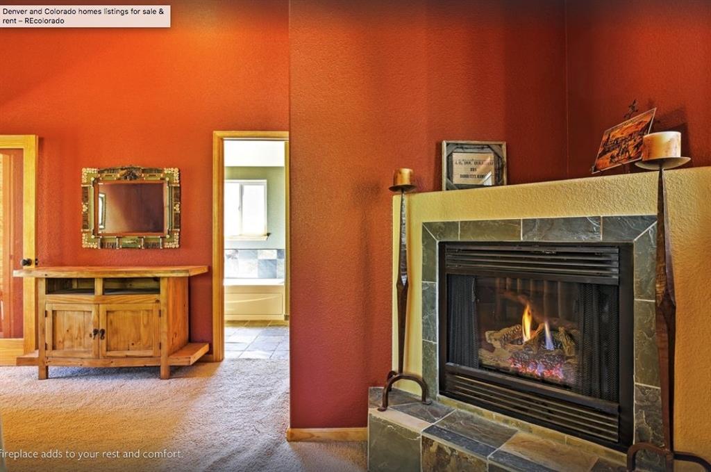 825 Quartzville Road Alma, CO 80420 - Photo 19 of 34 Gallery Image 19