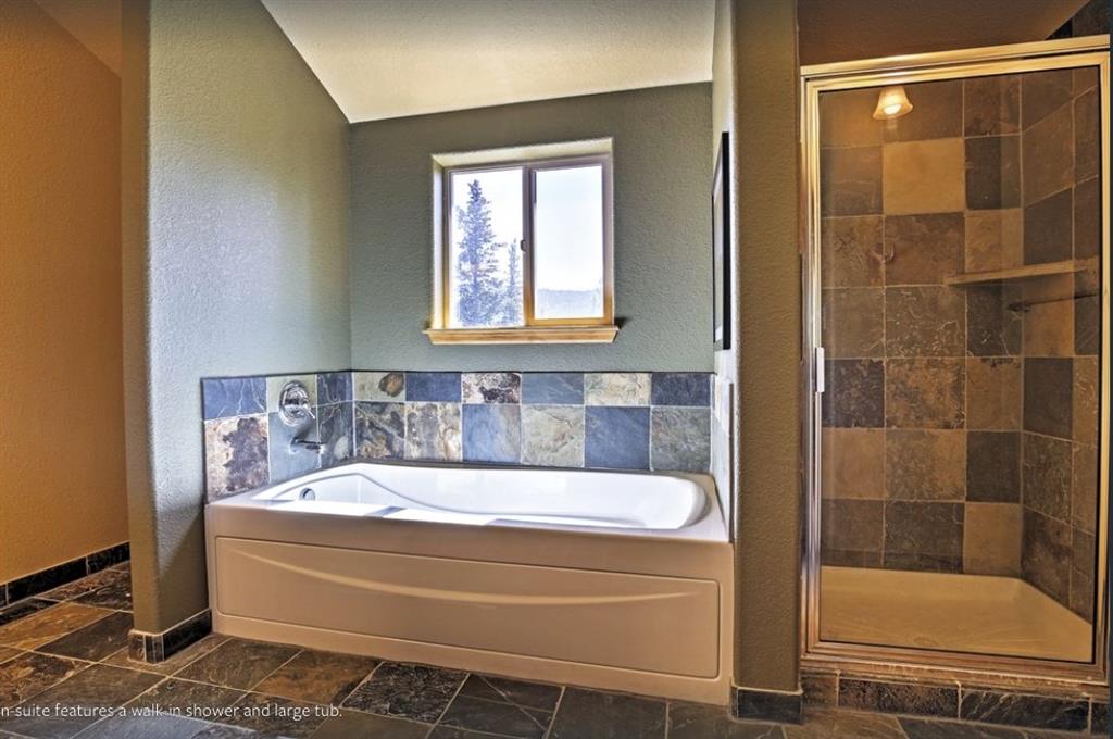 825 Quartzville Road Alma, CO 80420 - Photo 20 of 34 Gallery Image 20