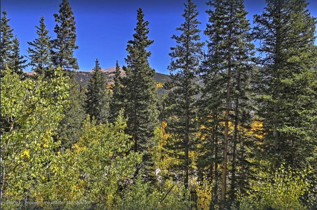 825 Quartzville Road Alma, CO 80420 - Photo 22 of 34 Gallery Image 22