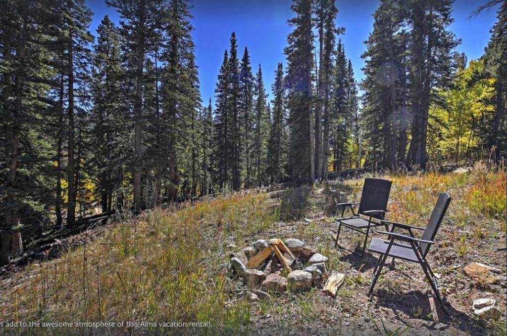 825 Quartzville Road Alma, CO 80420 - Photo 23 of 34 Gallery Image 23
