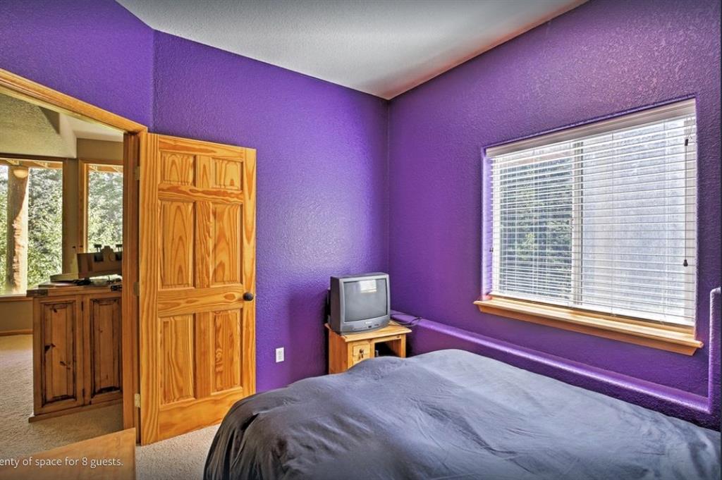 825 Quartzville Road Alma, CO 80420 - Photo 29 of 34 Gallery Image 29