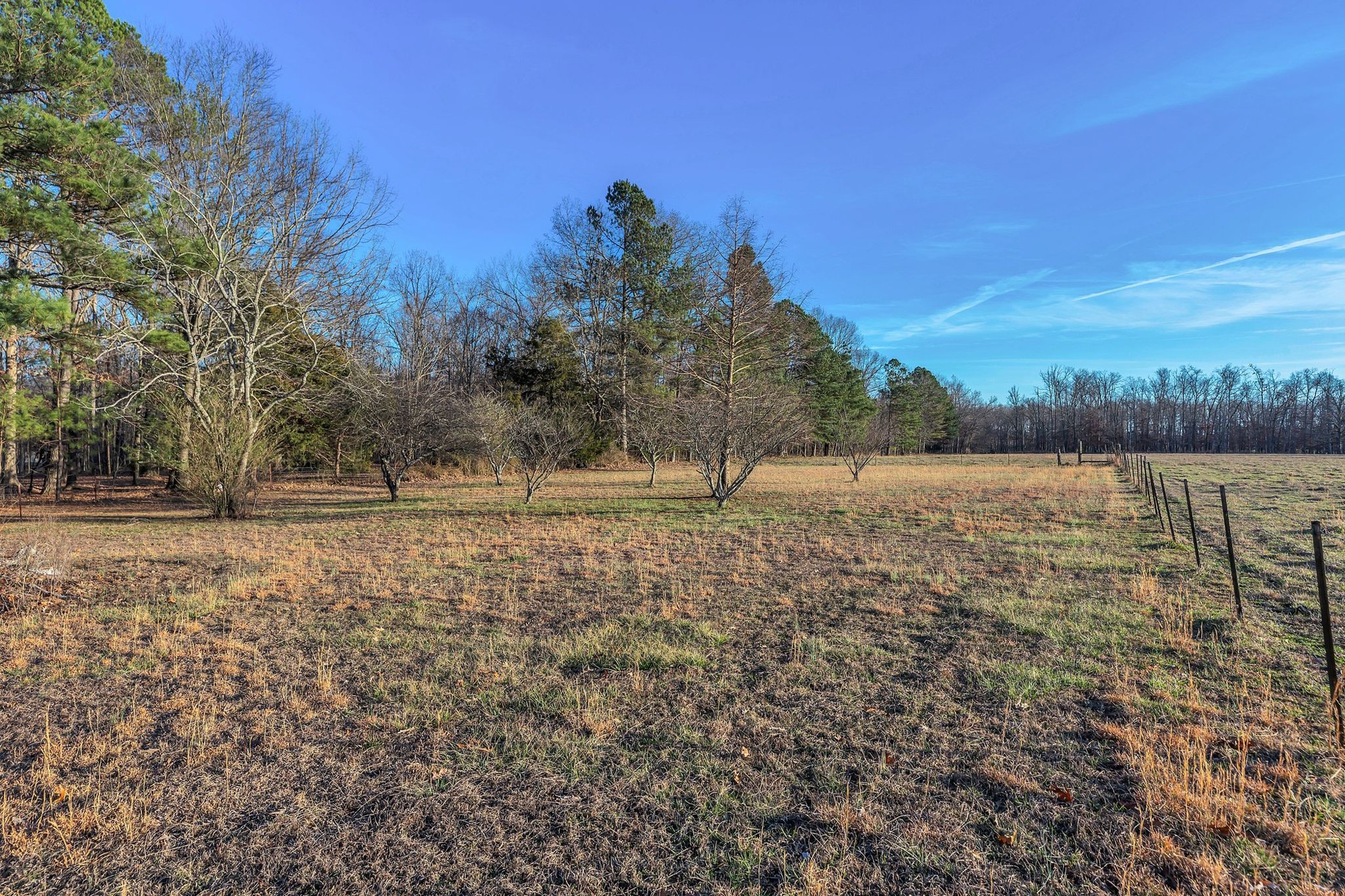 999 Sixteenth Model Road Manchester, TN 37355 - Photo 24 of 24 a view of a yard with a house