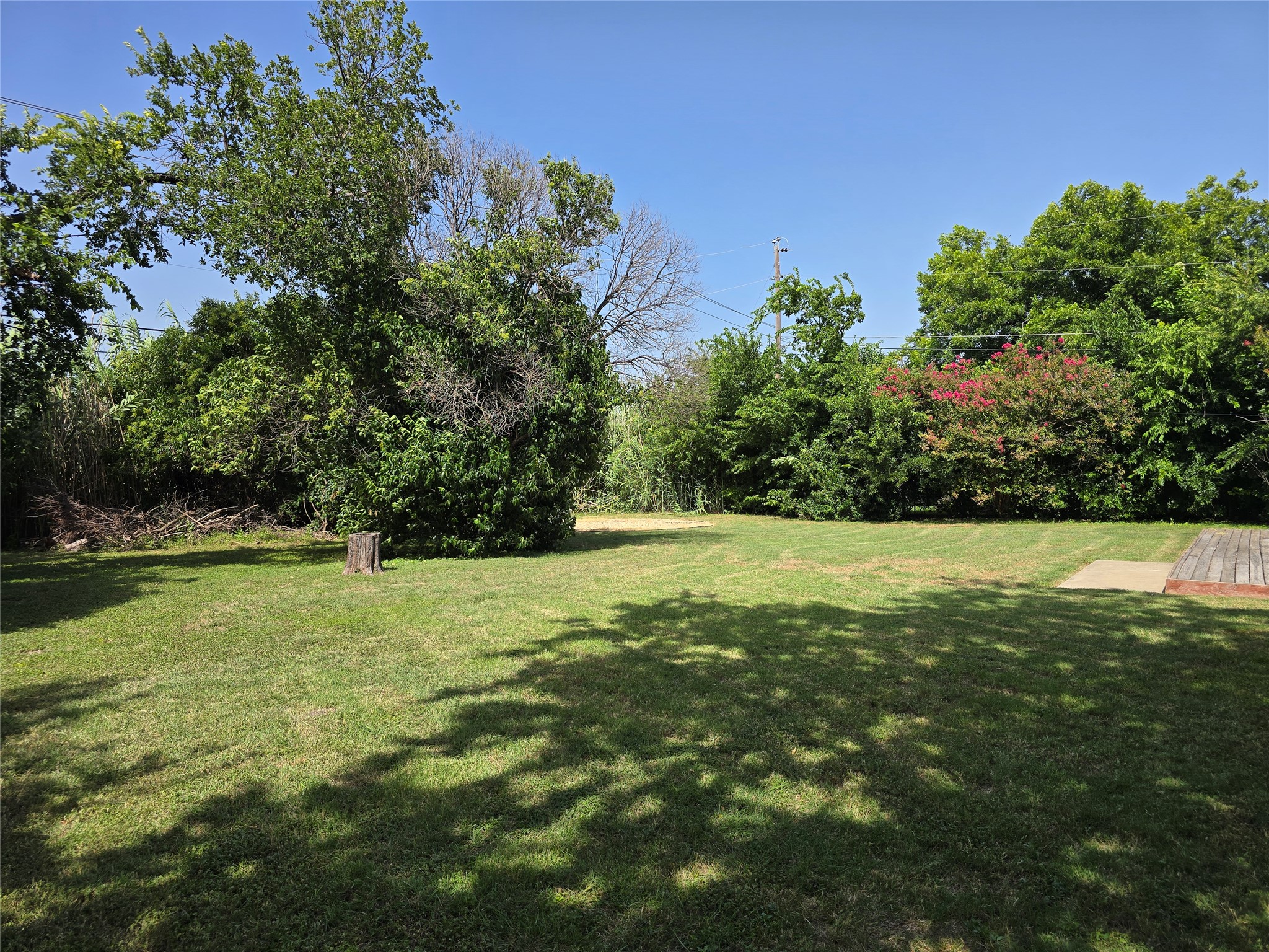 205 East Cherokee Drive Harker Heights, TX 76548 - Photo 23 of 23 A spacious, verdant yard with mature trees offers a private outdoor haven.