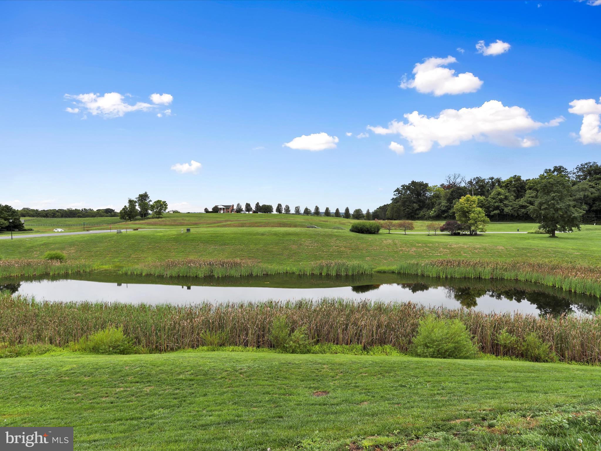 53 Ran Rue Drive Martinsburg, WV 25403 - Photo 33 of 38 View of pond