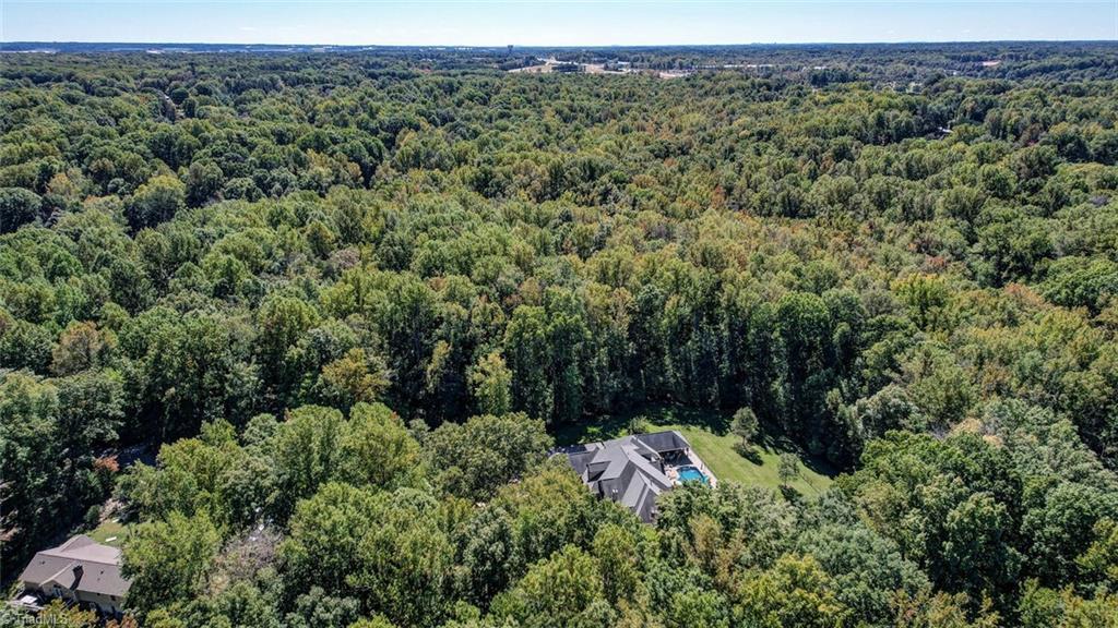 7809 Gold Ridge Road Oak Ridge, NC 27310 - Photo 50 of 50 AERIAL VIEW OF THE REAR OF THE PROPERTY