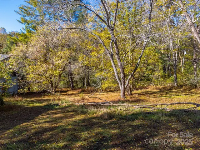a view of dirt field with trees