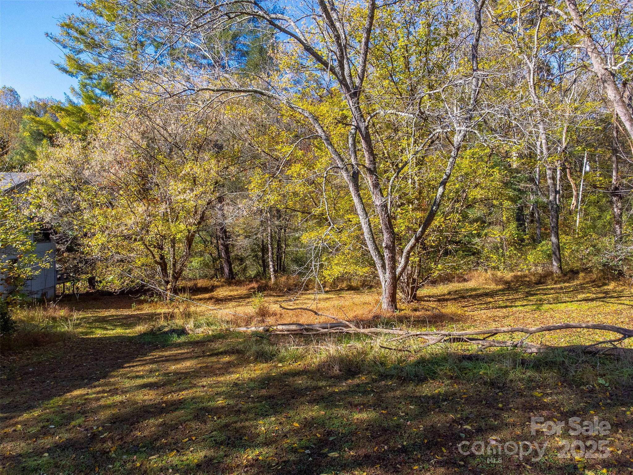 120 Trimont Trail Franklin, NC 28734 - Photo 13 of 33 a view of dirt field with trees