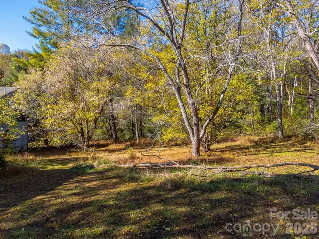 a view of a yard with a tree