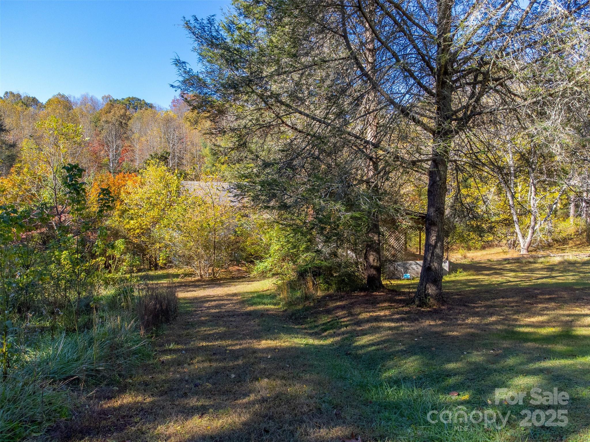 120 Trimont Trail Franklin, NC 28734 - Photo 14 of 33 a view of a yard with a tree