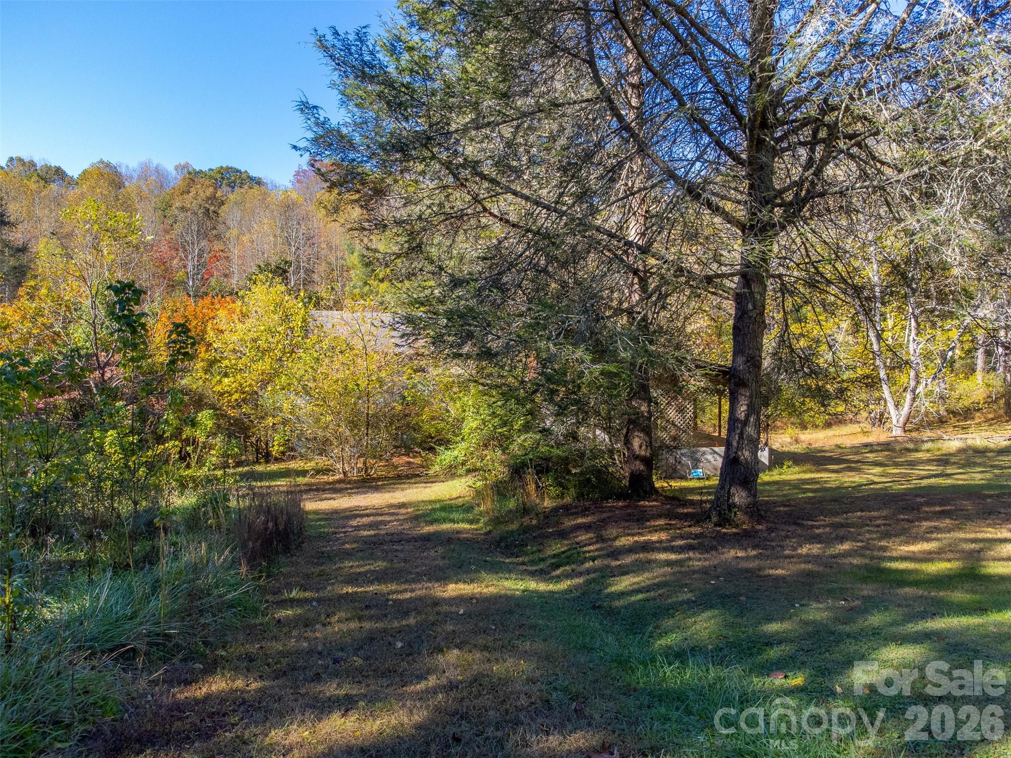 120 Trimont Trail Franklin, NC 28734 - Photo 15 of 33 a view of a yard with a tree
