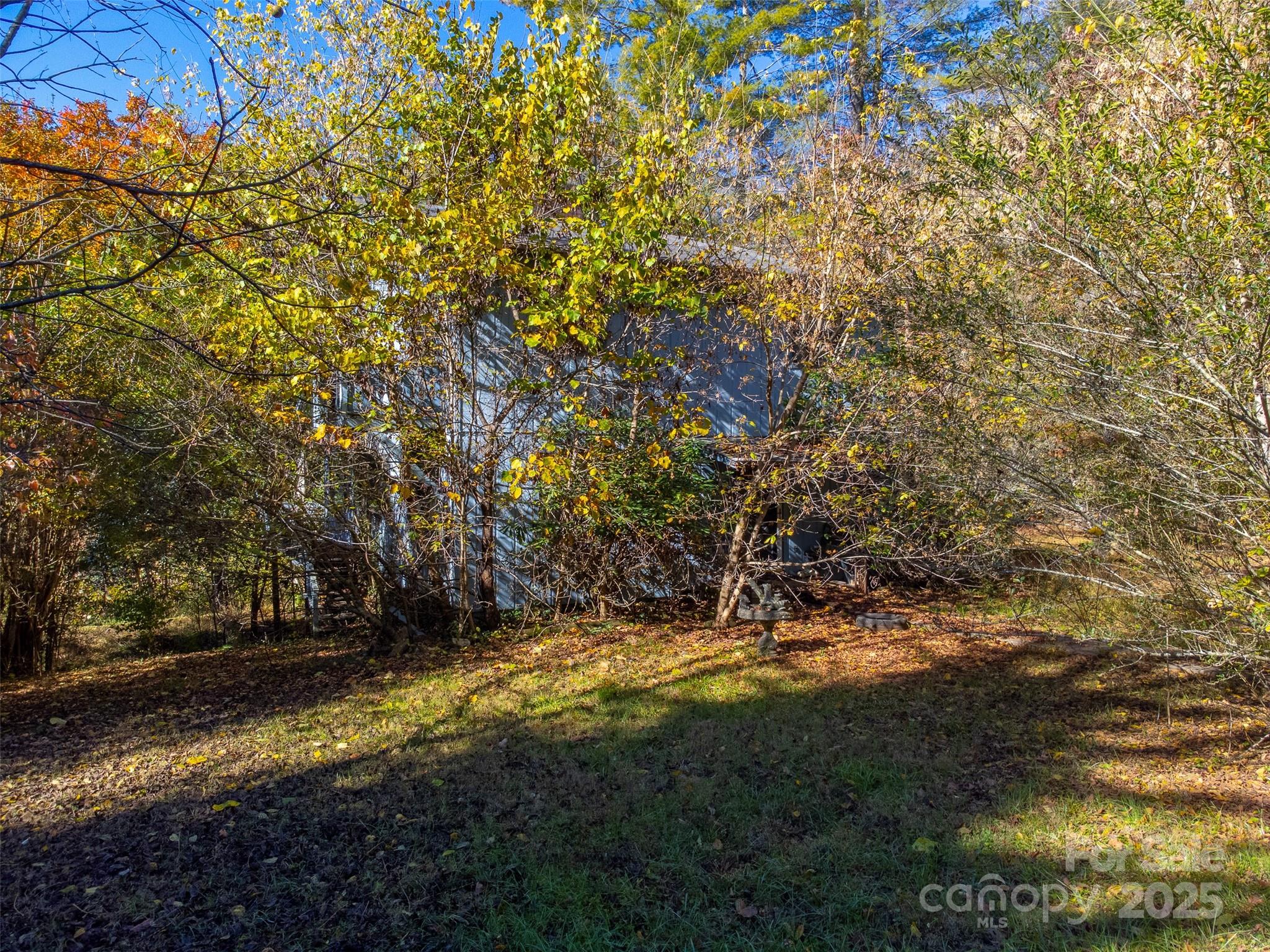 120 Trimont Trail Franklin, NC 28734 - Photo 17 of 33 a view of yard with tree