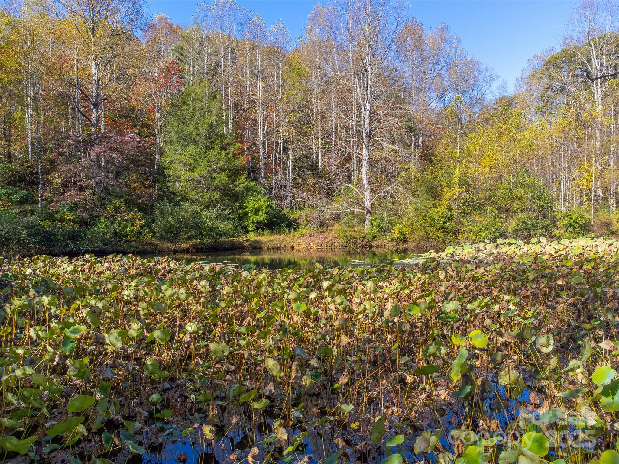 120 Trimont Trail Franklin, NC 28734 - Photo 21 of 33 a view of residential house with green space
