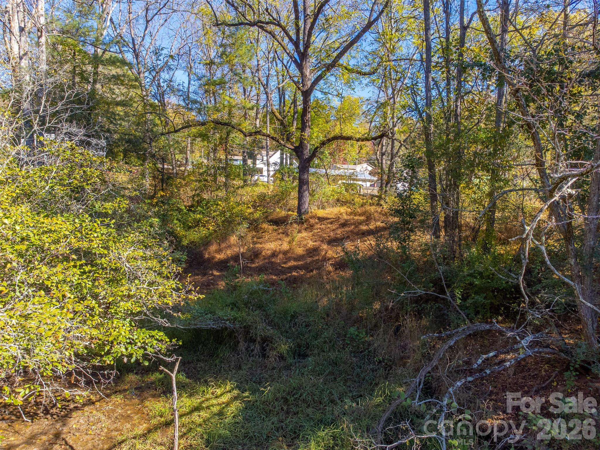 120 Trimont Trail Franklin, NC 28734 - Photo 23 of 33 a backyard of a house with lots of plants and tree