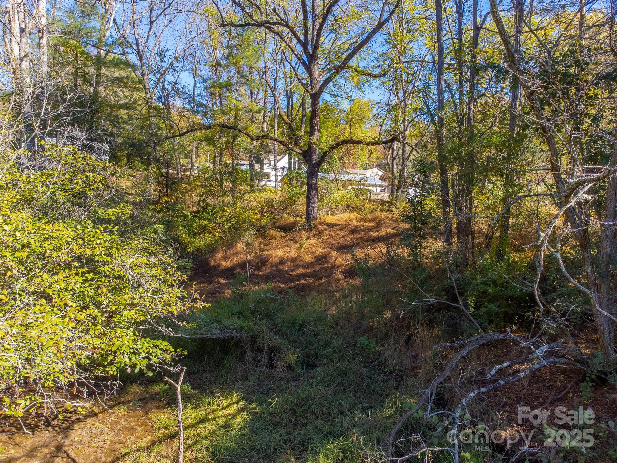 120 Trimont Trail Franklin, NC 28734 - Photo 23 of 33 a backyard of a house with lots of plants and tree