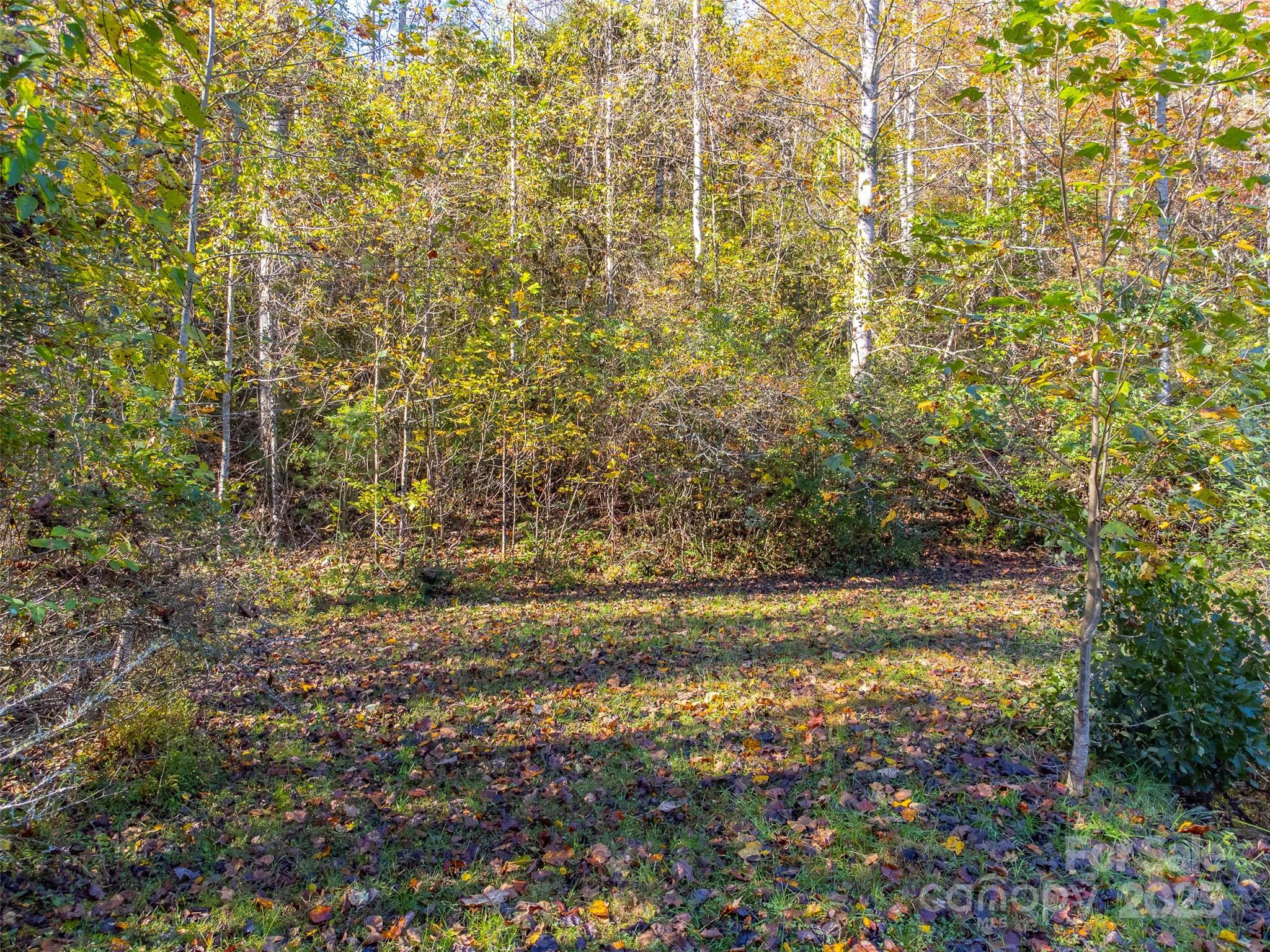 120 Trimont Trail Franklin, NC 28734 - Photo 24 of 33 a view of a yard with an outdoor space