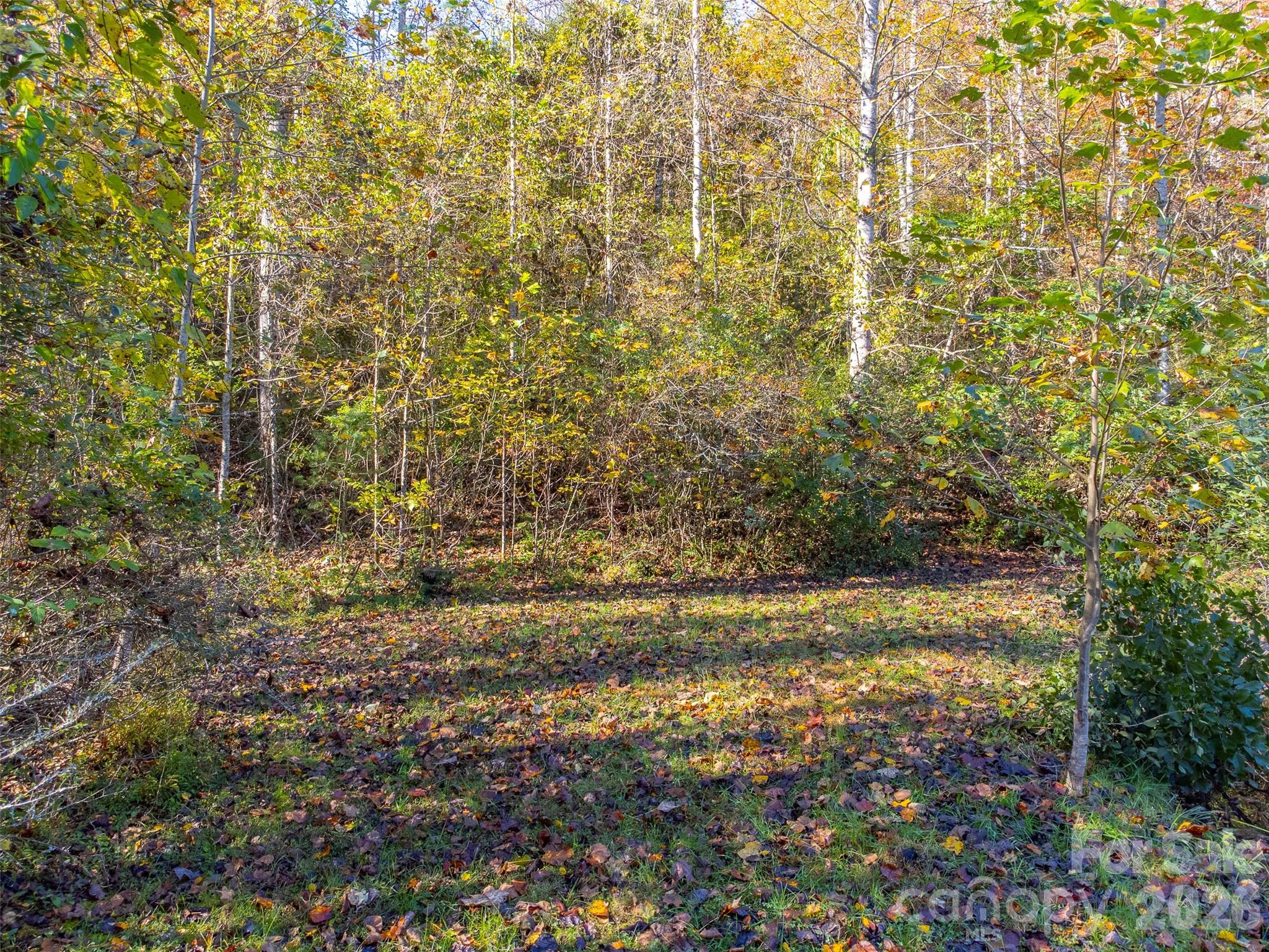 120 Trimont Trail Franklin, NC 28734 - Photo 24 of 33 a view of a yard with an outdoor space