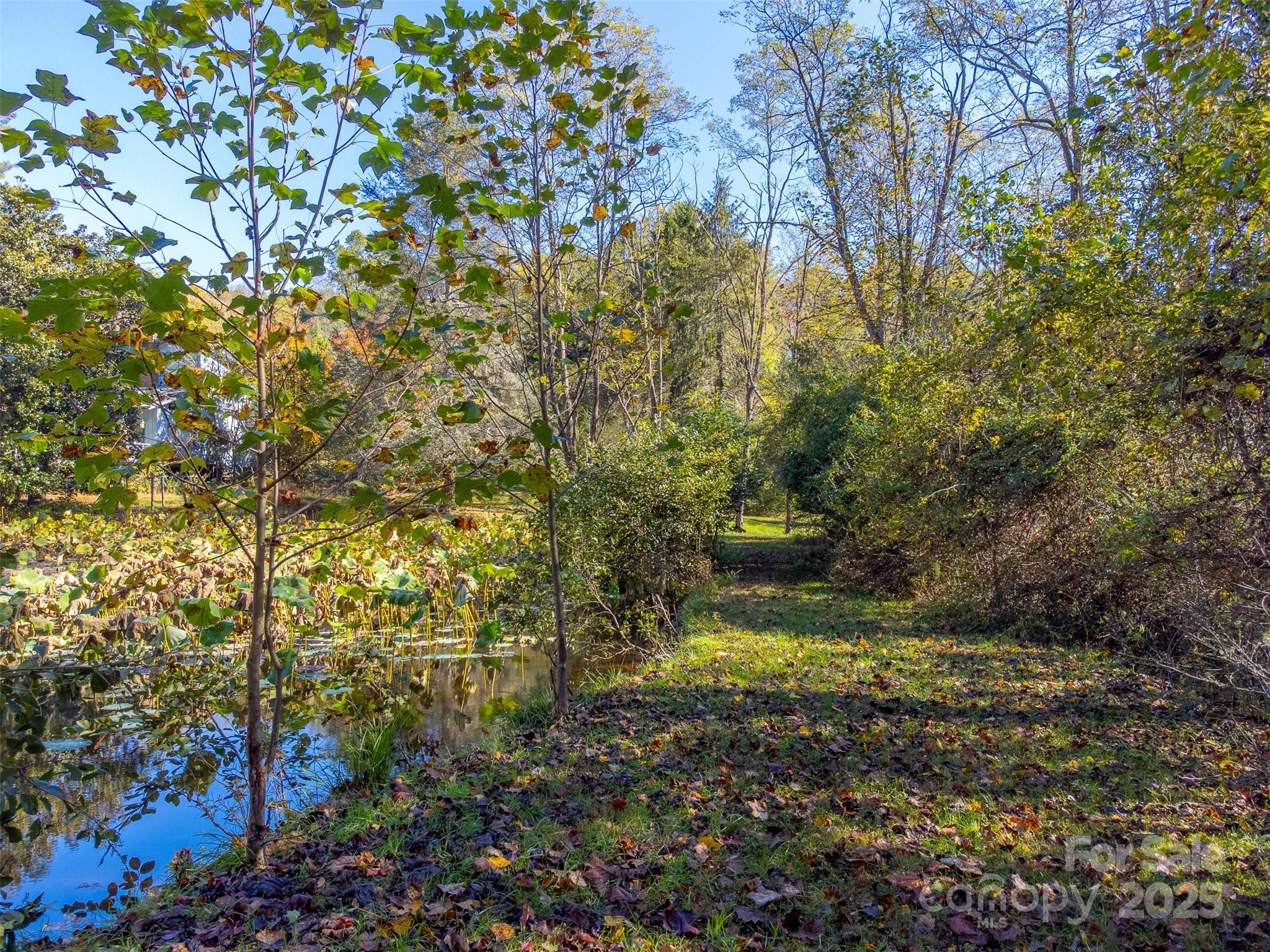 120 Trimont Trail Franklin, NC 28734 - Photo 25 of 33 a view of a yard with plants and a bench