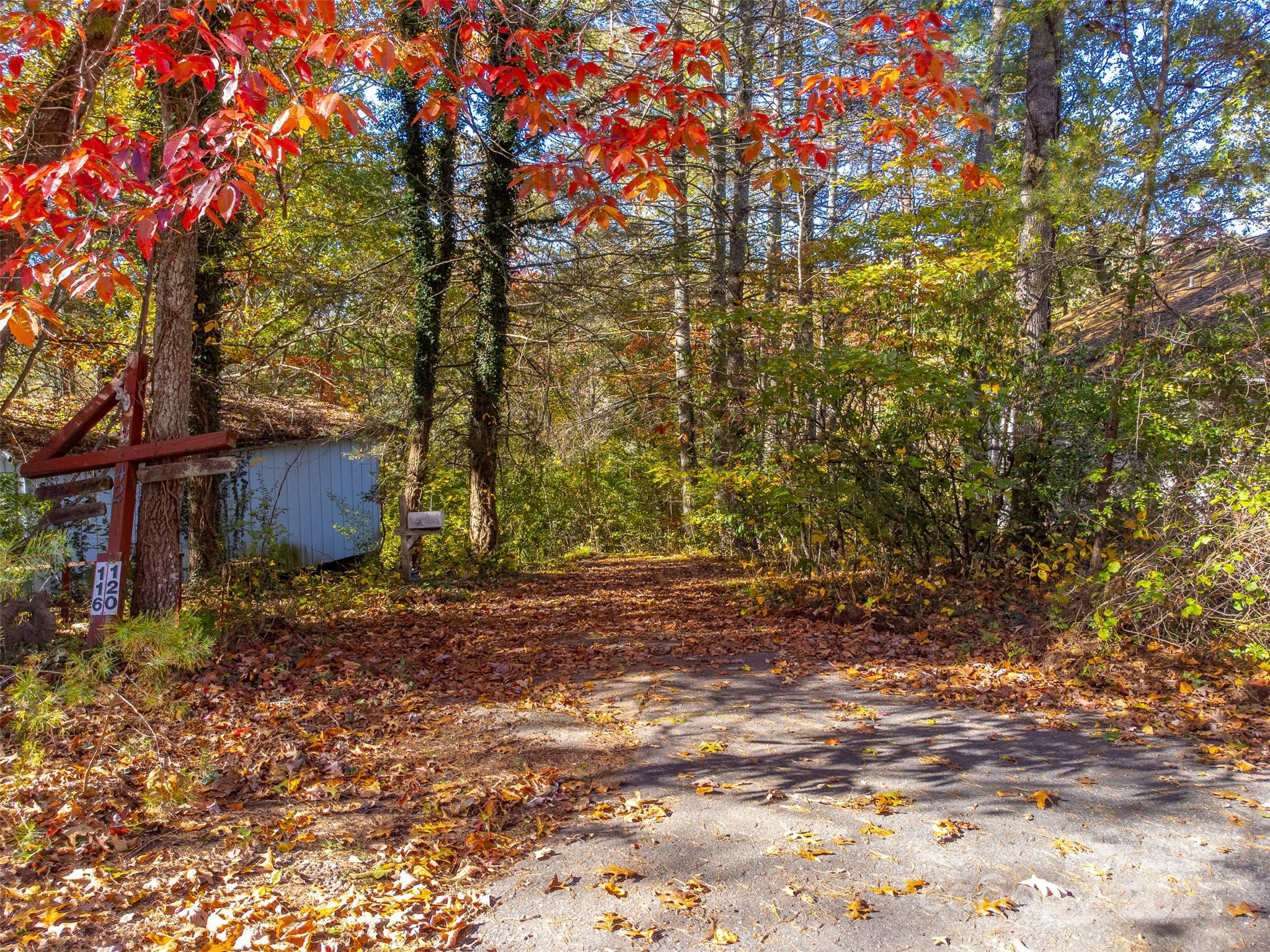 120 Trimont Trail Franklin, NC 28734 - Photo 4 of 33 a backyard of a house with lots of green space