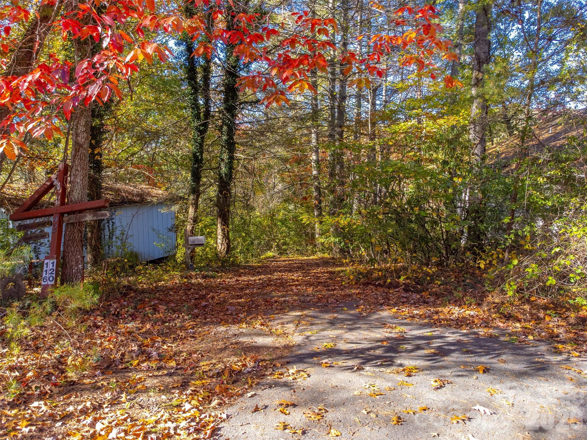 120 Trimont Trail Franklin, NC 28734 - Photo 7 of 33 a backyard of a house with lots of green space