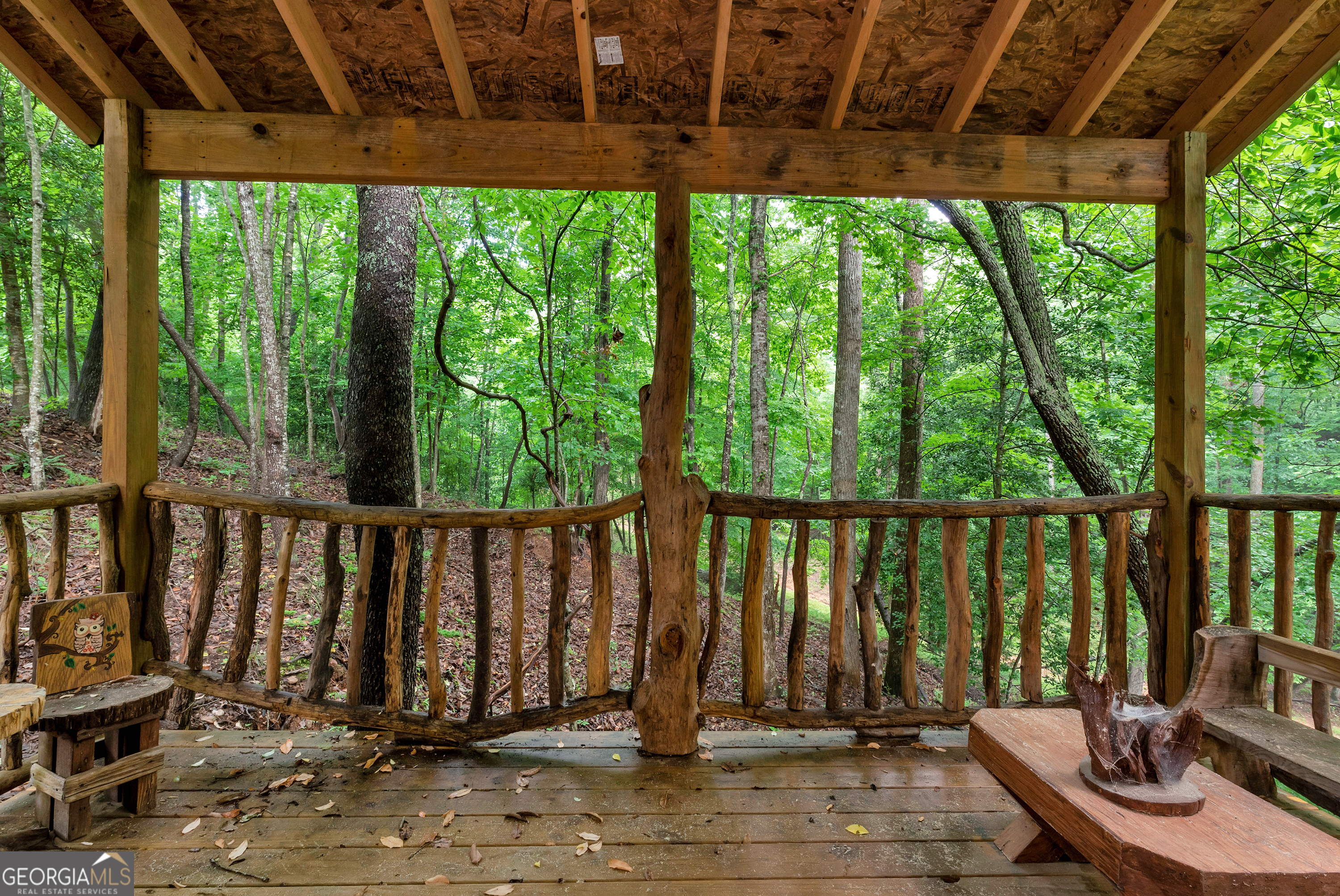 615 Lewis Grindle Road Dahlonega, GA 30533 - Photo 46 of 63