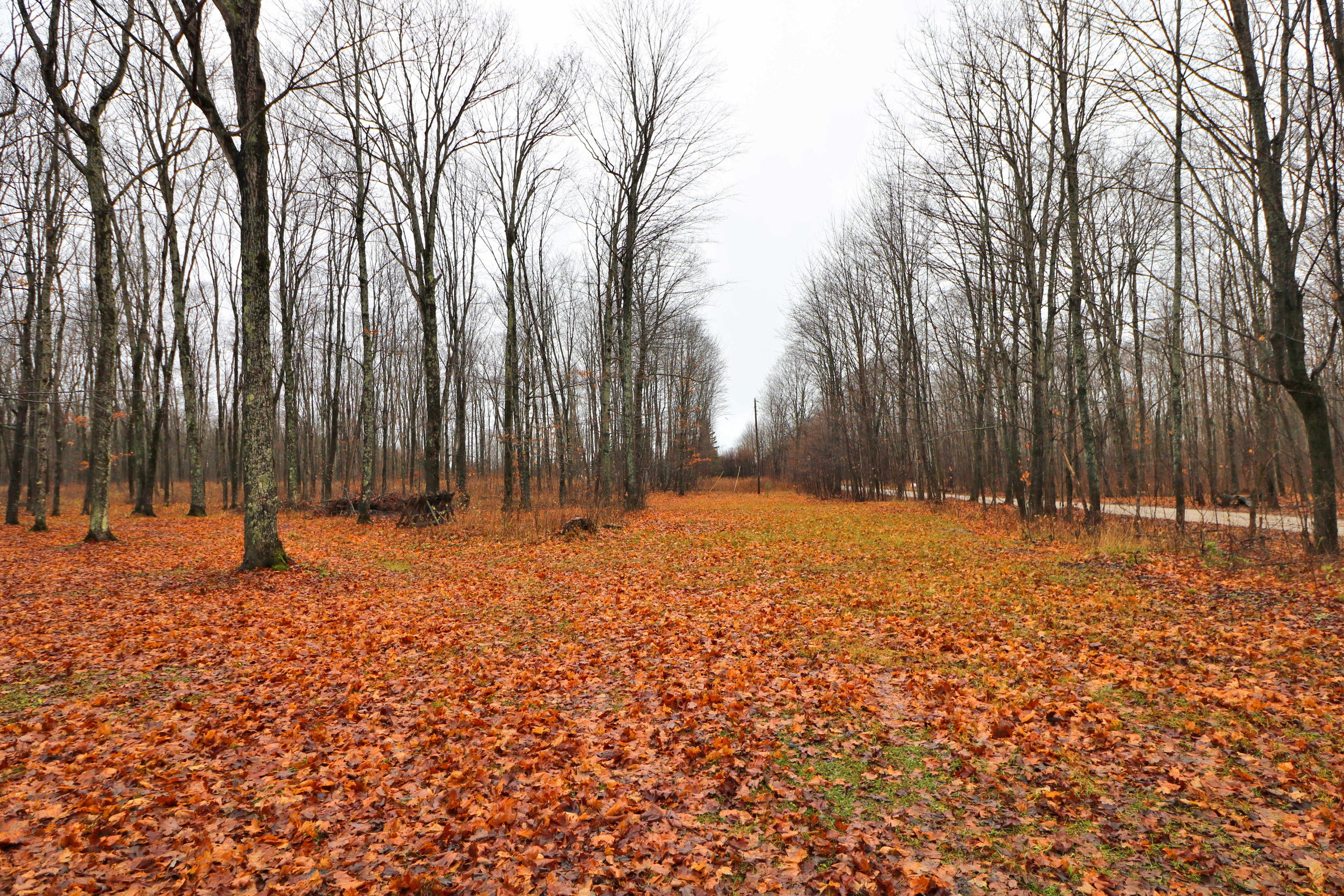 4603 West Poglese Road Hessel, MI 49745 - Photo 14 of 14 Gallery Image 14