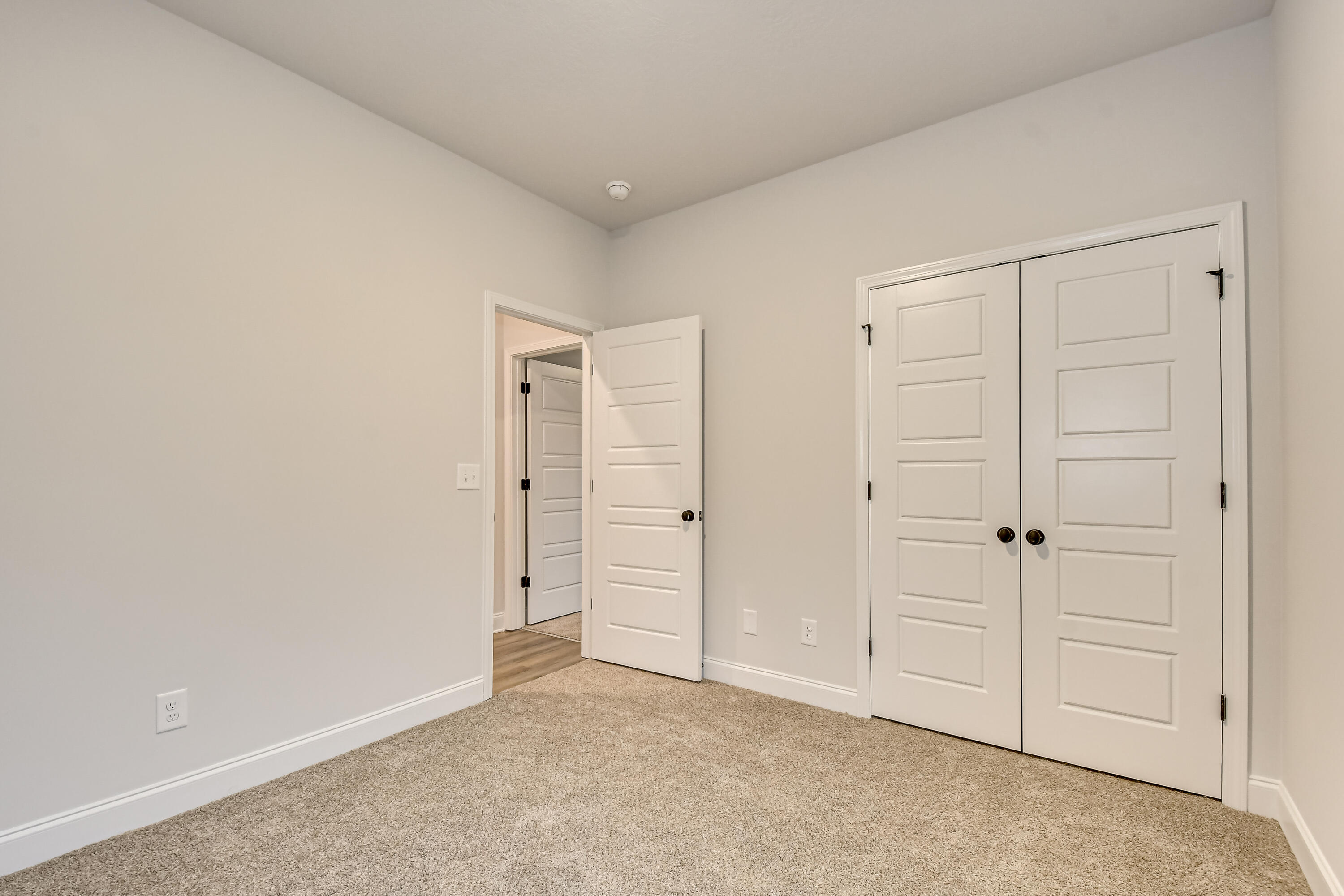 4206 Fringetree Loop New Ellenton, SC 29809 - Photo 31 of 37 Gallery Image 31